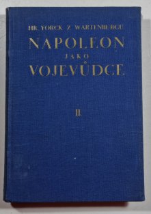 Napoleon jako vojevůdce II.