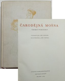 Čarodějná mošna