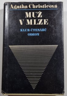 Muž v mlze