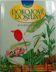 Pokojové rostliny - 
