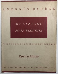 My cizinou jsme bloudili