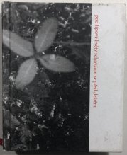 Pod lipové květy schováme se před deštěm - 