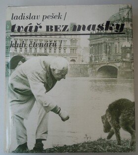 Tvář bez masky