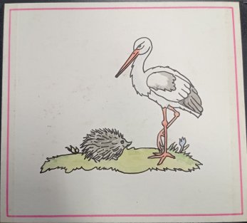 Jaruščiny obrázky