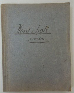 Kord v holi