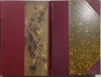 Paměti z mého života I.-II.