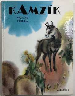 Kamzík