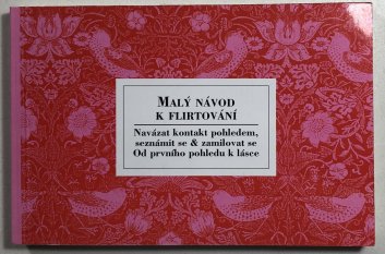Malý návod k flirtování