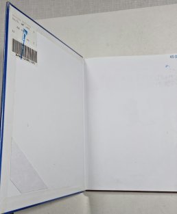 Kocour Fiškus a vánoční skřítek