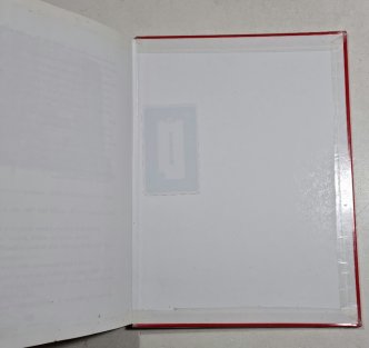 Kocour Fiškus a vánoční skřítek