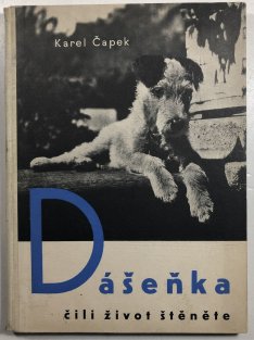 Dášeňka čili život štěněte