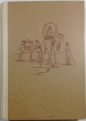 Tuâreg - poslední Mohykán pravěkého člověka saharského