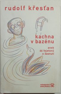 Kachna v bazénu