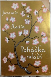 Pohádka mládí