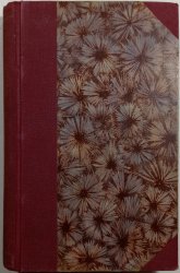 Na cestách zakázaných - 