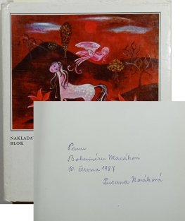 Černý bez v deštivé noci 