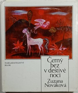 Černý bez v deštivé noci 