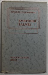 Kvetoucí šalvěj - 