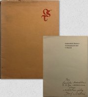 Automobilové neštěstí - 