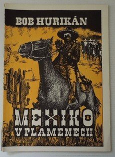 Mexiko v plamenech
