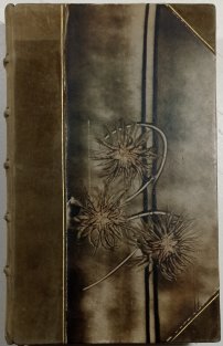 Heptameron novel královny Navarské
