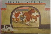 Domácí zvířátka - 
