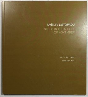 Slovo má poslanec Masaryk