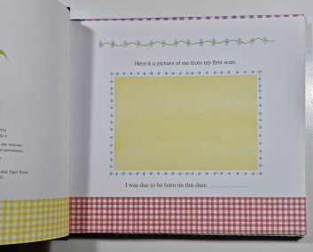 Baby´s days - A record book of Baby´s first year ( dětské album )