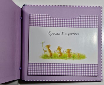 Baby´s days - A record book of Baby´s first year ( dětské album )