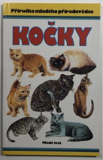Kočky
