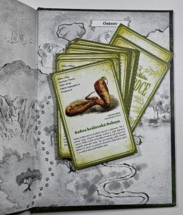 Tygří srdce - Princ džungle