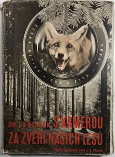 S kamerou za zvěří našich lesů