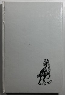 Střílející blázen