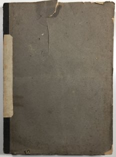 Stenografická zprávy sněmu českého 1880 (německy, česky)