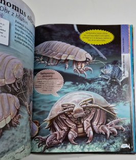 Život v mořích a oceánech