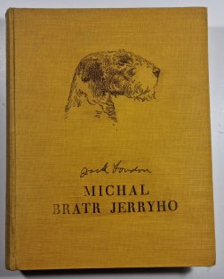 Michal, bratr Jerryho