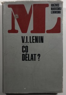Co dělat?