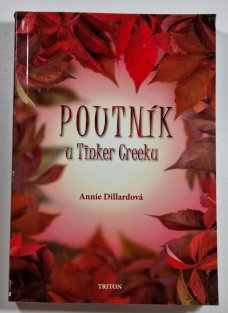 Poutník u Tinker Creeku