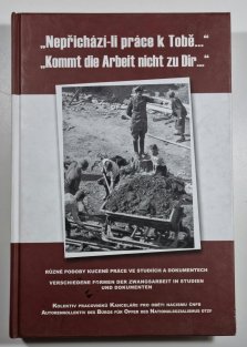 Nepřichází-li práce k Tobě ( Kommt die Arbeit nicht zu Dir )