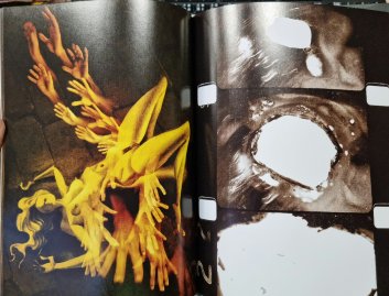 Celluloid