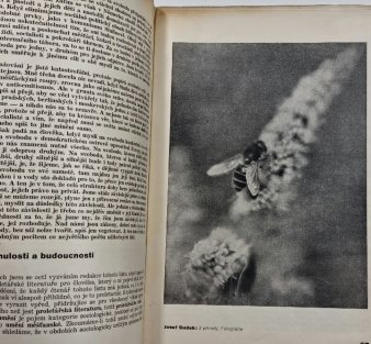 Jak žijeme 3/1933, roč. 1