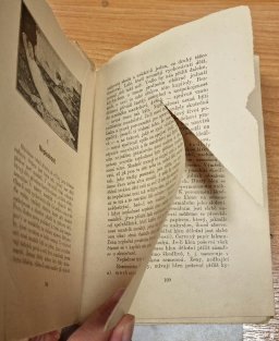 Žena, její krása a život pohlavní