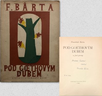 Pod Goethovým dubem