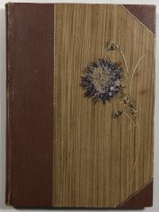 Domino - Románek stříbrné lišky