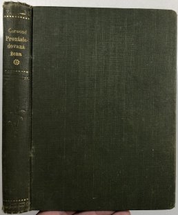 Pronásledovaná žena