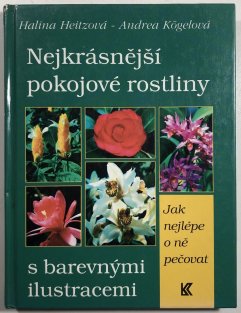 Nejkrásnější pokojové rostliny