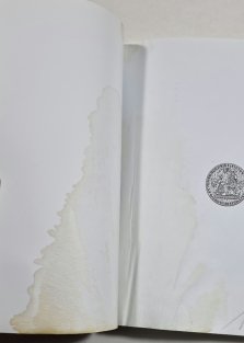 Filosofie v době teroru