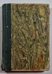 Divoká ratolístka - Na zarostlém chodníčku