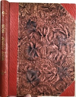 Malý čtenář 47/1928