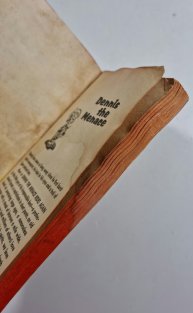 Dennis the Menace - Rides Again